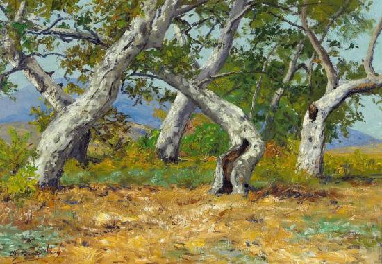 California Oak Groves Artwork by Charles Partridge Adams