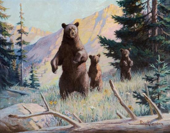 Bear With Cubs Artwork by Philip R. Goodwin