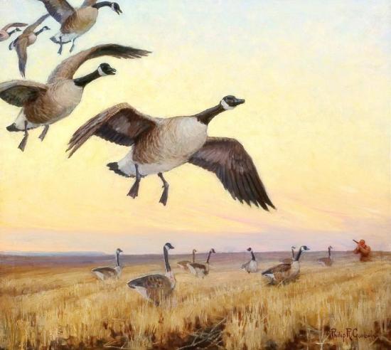 Goose Hunting Artwork by Philip R. Goodwin
