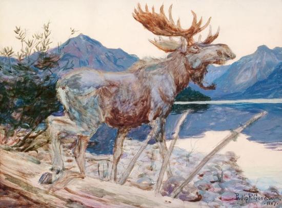 Lake Mcdonald, 1907 Artwork by Philip R. Goodwin