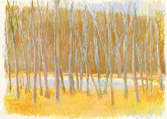 Golden Light In Fall Woods, 1986 Artwork by Wolf Kahn