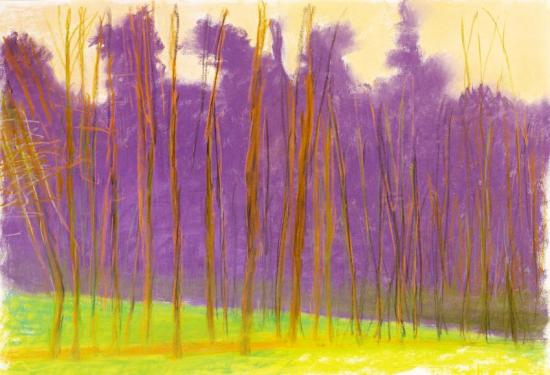 Green Ground, 2005 Artwork by Wolf Kahn