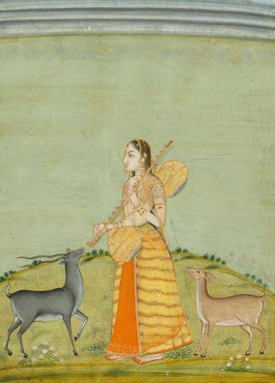 Todi Ragini, Woman Holding A Vina Artwork by Collections
