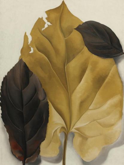 Brown And Tan Leaves Artwork by Georgia O'keeffe