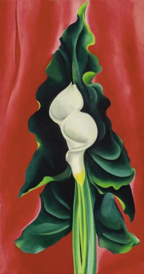 Calla Lilies On Red, 1928 Artwork by Georgia O'keeffe