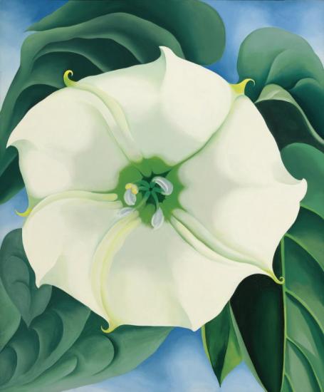 Jimson Weed, White Flower No. 1 Artwork by Georgia O'keeffe