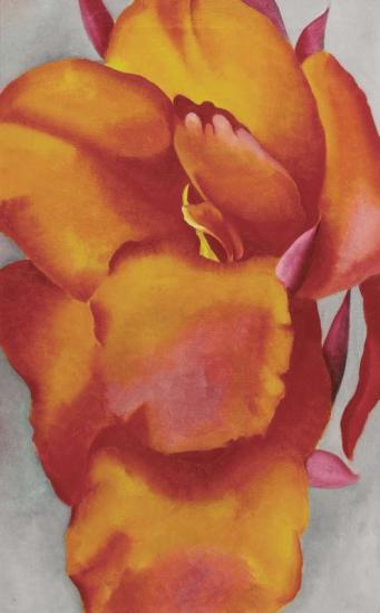 Red Canna (flame-colored Canna) Artwork by Georgia O'keeffe