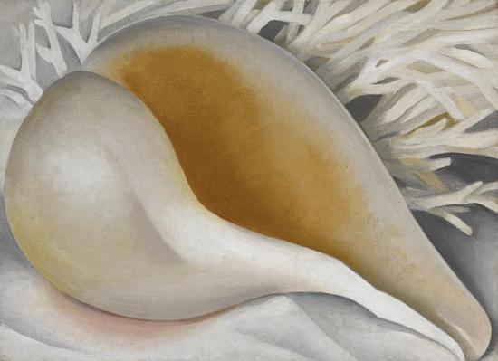 Shell (shell Iv, The Shell, Shell I), 1937 Artwork by Georgia O'keeffe