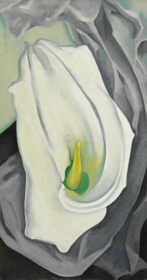 White Calla Lily Artwork by Georgia O'keeffe