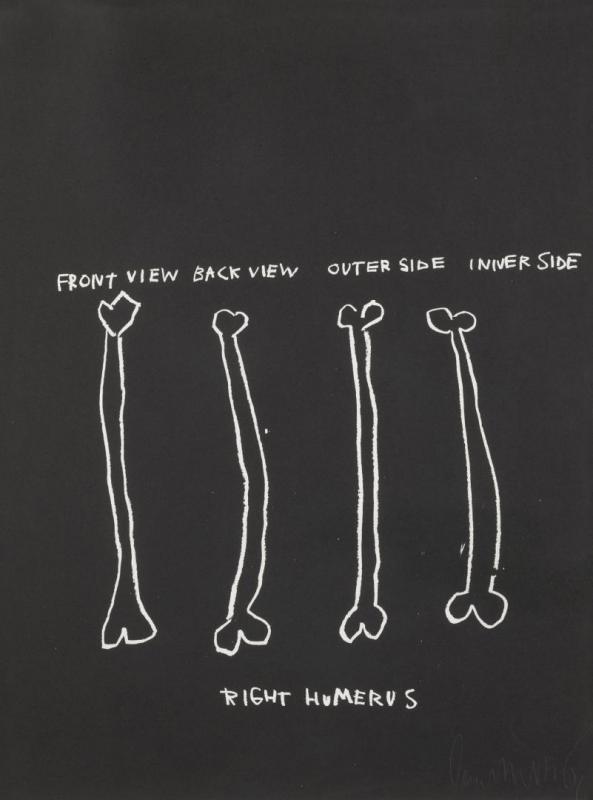 Anatomy 18 Artwork by Jean Michel Basquiat