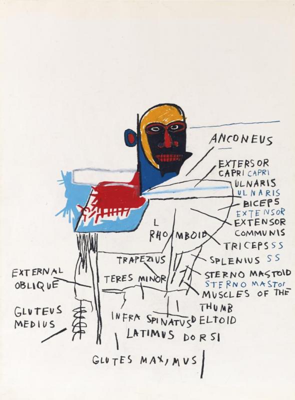 Anatomy Artwork by Jean Michel Basquiat