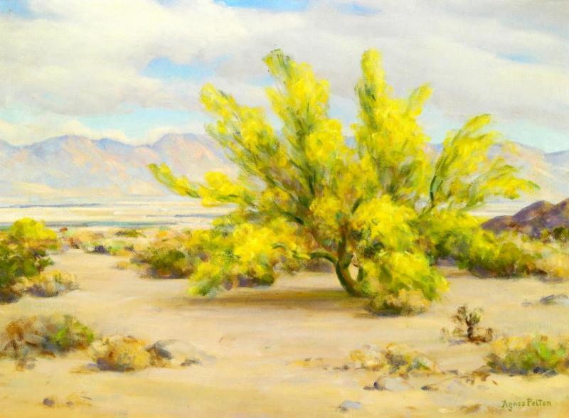 Young Palo Verde Tree, Cloudy Morning Artwork by Agnes Pelton