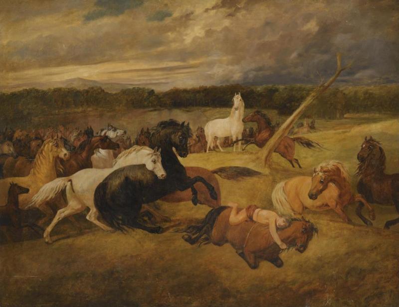 Mazeppa Artwork by Thomas Woodward