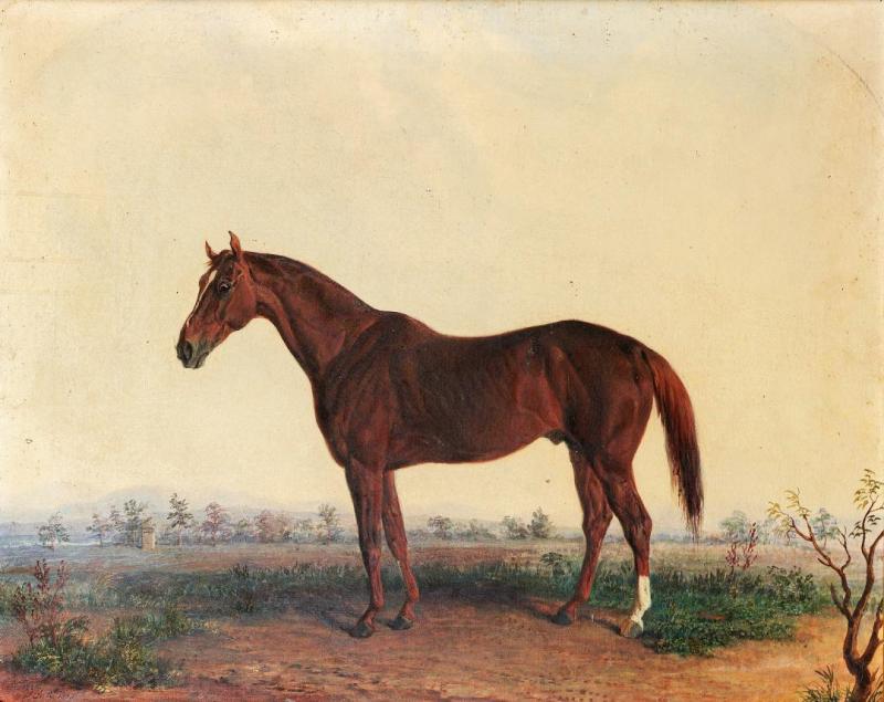 Portrait Of A Horse In A Southern Landscape, 1869 Artwork by Edward Troye