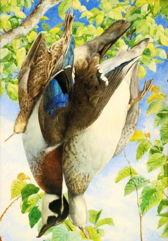 Brace Of Ducks, 1867 Artwork by John William Hill