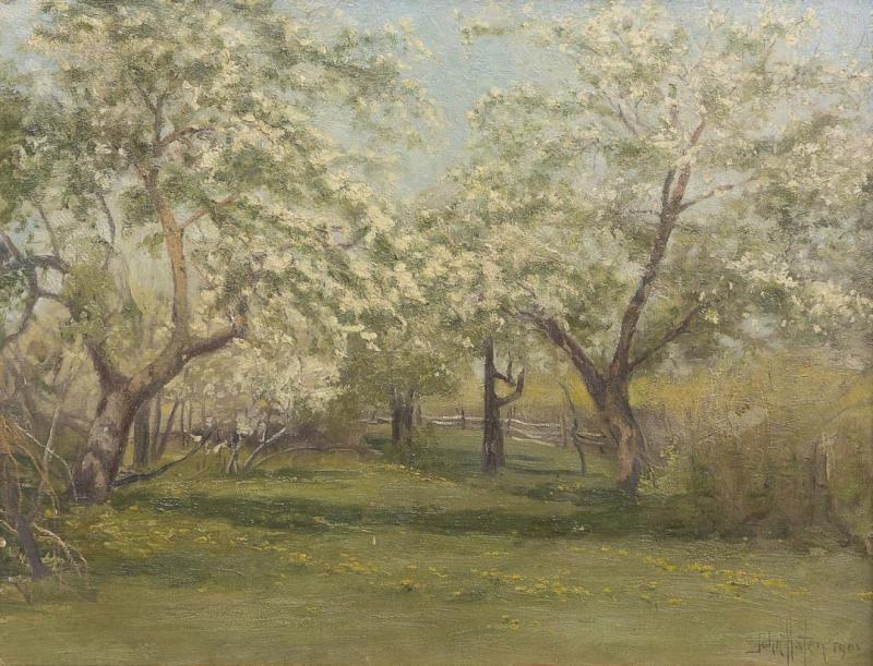 Orchard In Bloom, 1905 Artwork by John Hafen