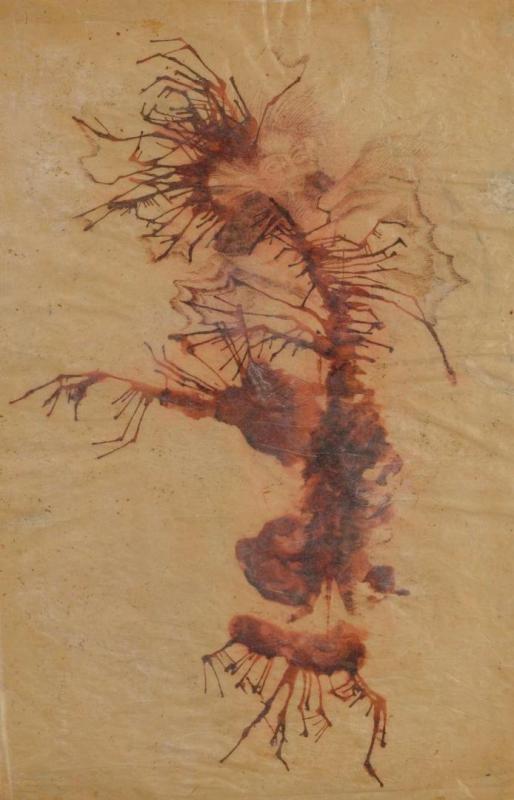 Personaje Liquen Artwork by Remedios Varo