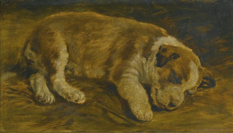 A Puppy Sleeping Artwork by Edwin Henry Landseer