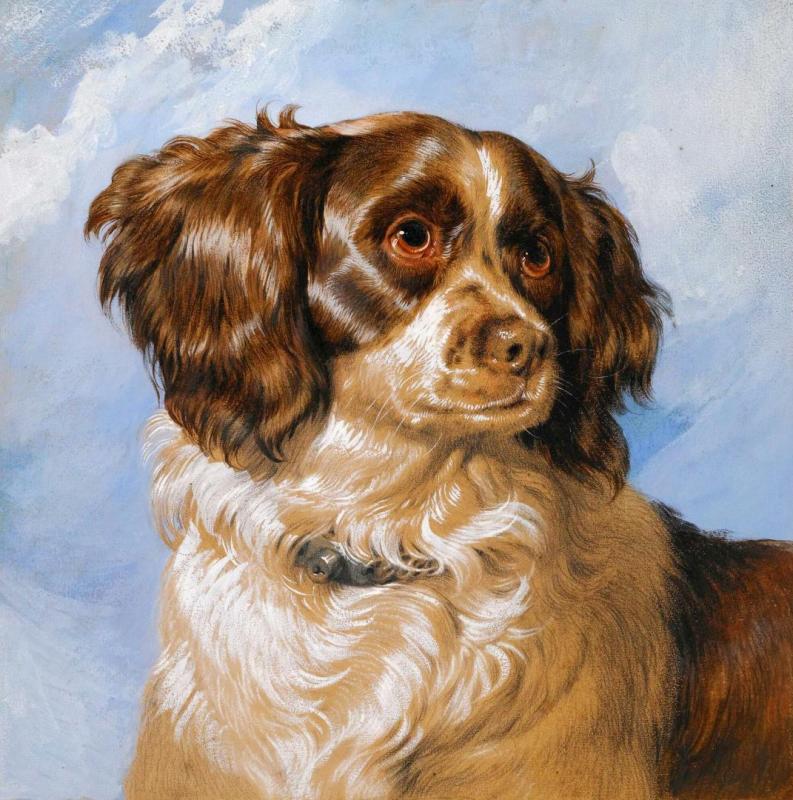 Dash, 1825 Artwork by Edwin Henry Landseer