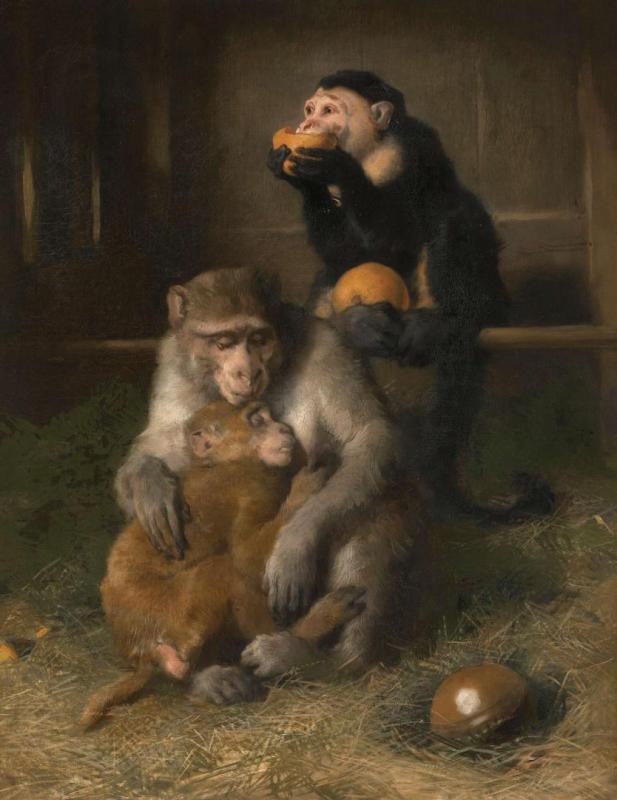 Doctor's Visit To Poor Relations At The Zoological Gardens Artwork by Edwin Henry Landseer