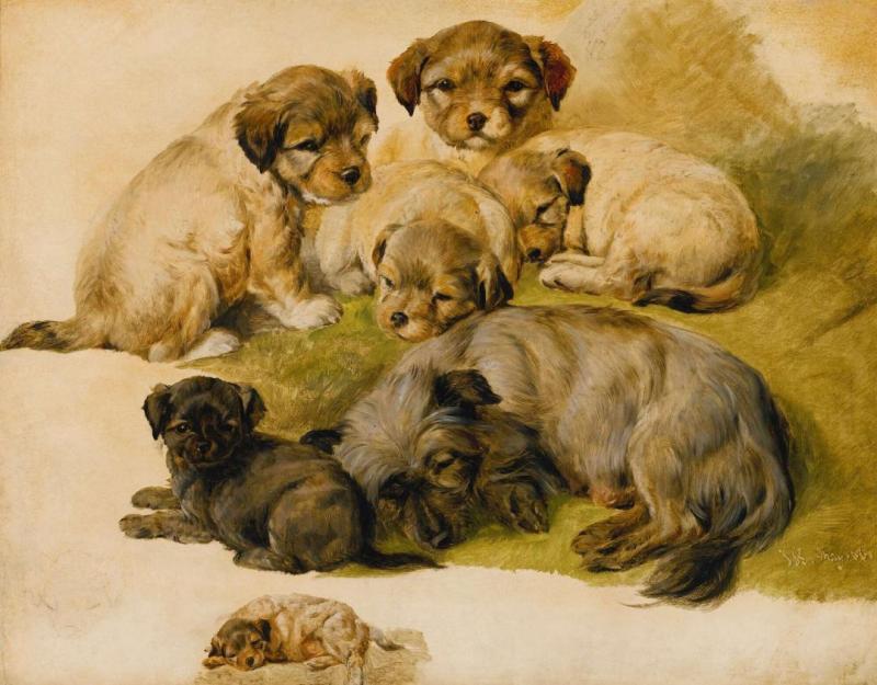 Study Of A Terrier And Puppies, 1861 Artwork by Edwin Henry Landseer