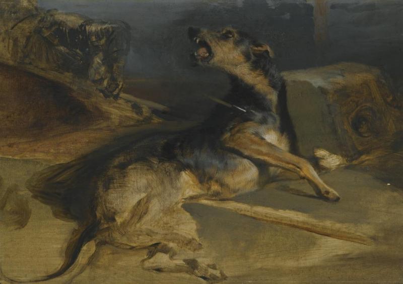 Study Of A Wounded Hound, From Walter Scott's The Talisman Artwork by Edwin Henry Landseer