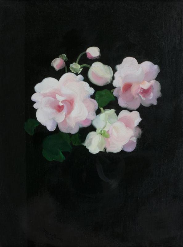 Anemones 3 Artwork by James Stuart Park