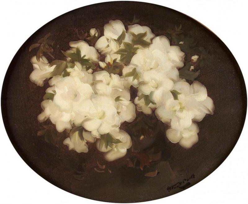 Azaleas Artwork by James Stuart Park