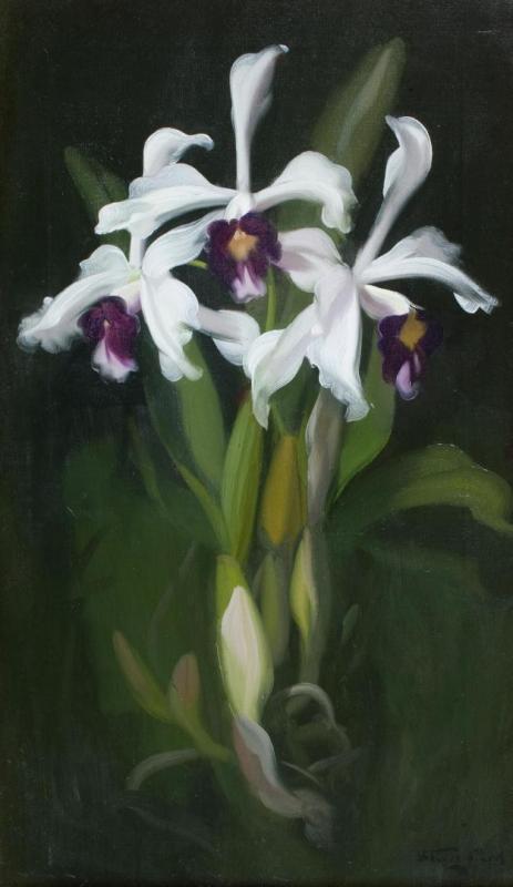 Lilies 1 Artwork by James Stuart Park