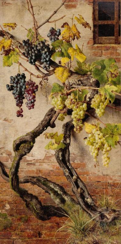 Red And White Grapes Growing Against A Brick Wall Artwork by Giorgio Lucchesi