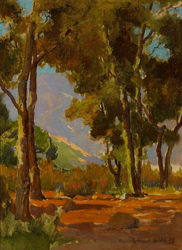 Eucalyptus Trees Artwork by Marion Kavanaugh Wachtel