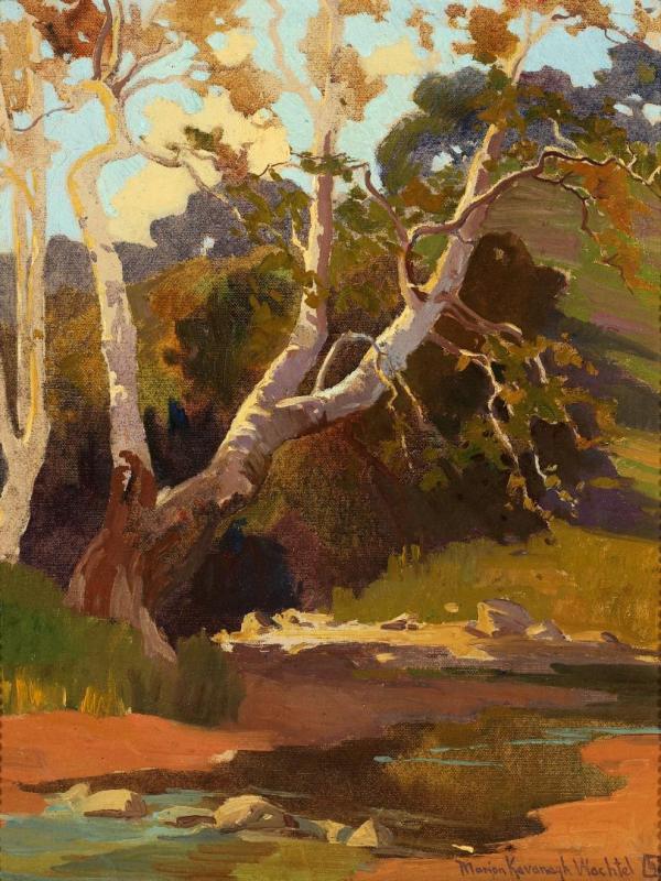 Sycamores By A Stream Artwork by Marion Kavanaugh Wachtel
