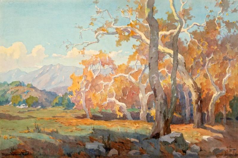 Sycamores Near Santa Paula Artwork by Marion Kavanaugh Wachtel