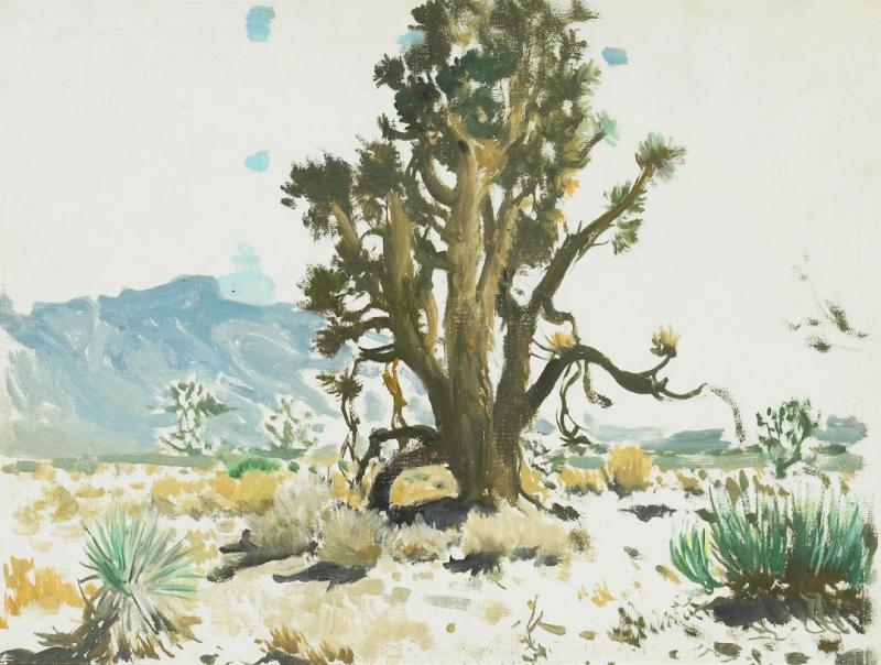 Light And Shadow I Artwork by James Swinnerton