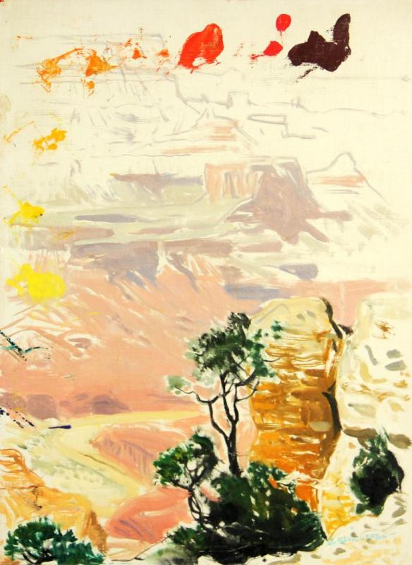 Sketch Of The Grand Canyon Artwork by James Swinnerton