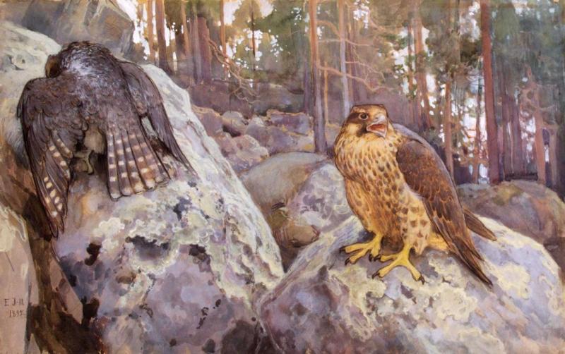 Hawks In The Forest, 1895 Artwork by Eero Nicolai Jarnefelt