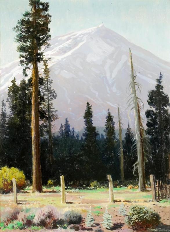 Humphrey's Peak, San Francisco Mountains, Arizona Artwork by James Swinnerton