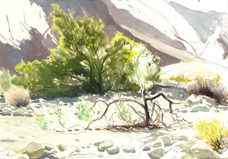 Pala Verdes Bloom Artwork by James Swinnerton