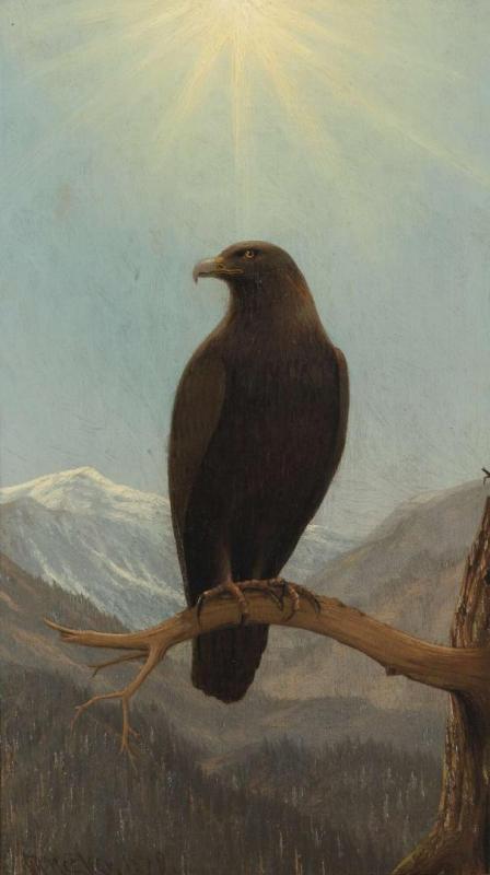 Golden Eagle, 1879 Artwork by Joseph Rusling Meeker