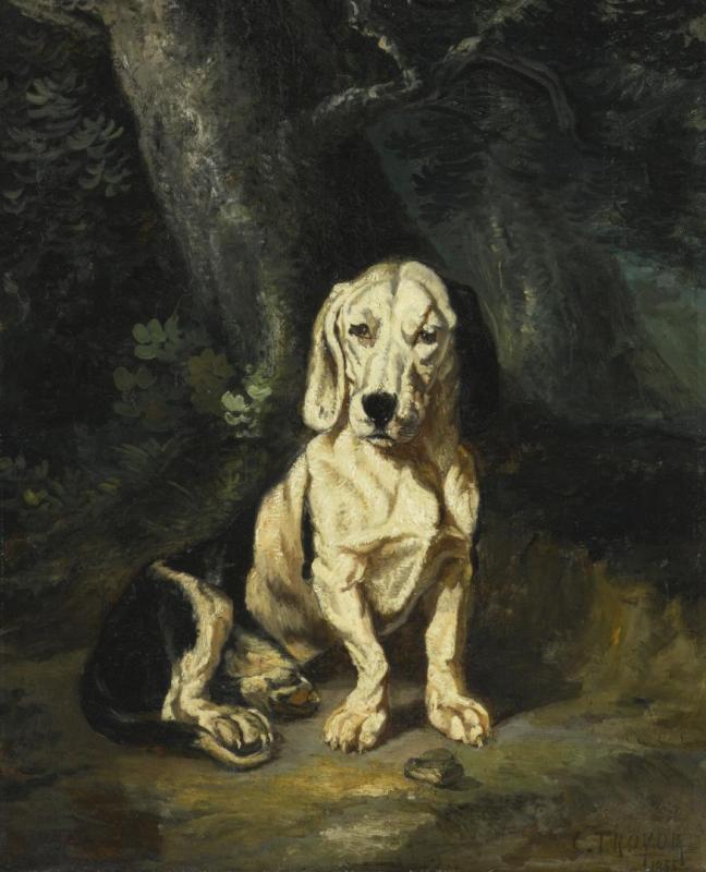 A Seated Basset Hound, 1885 Artwork by Constant Troyon