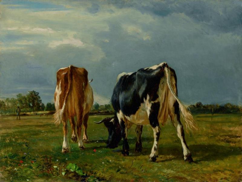 Cows In A Pasture Artwork by Constant Troyon