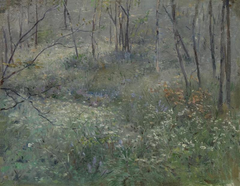Wild Parsley, 1900 Artwork by Sarah Paxton Bell Dodson