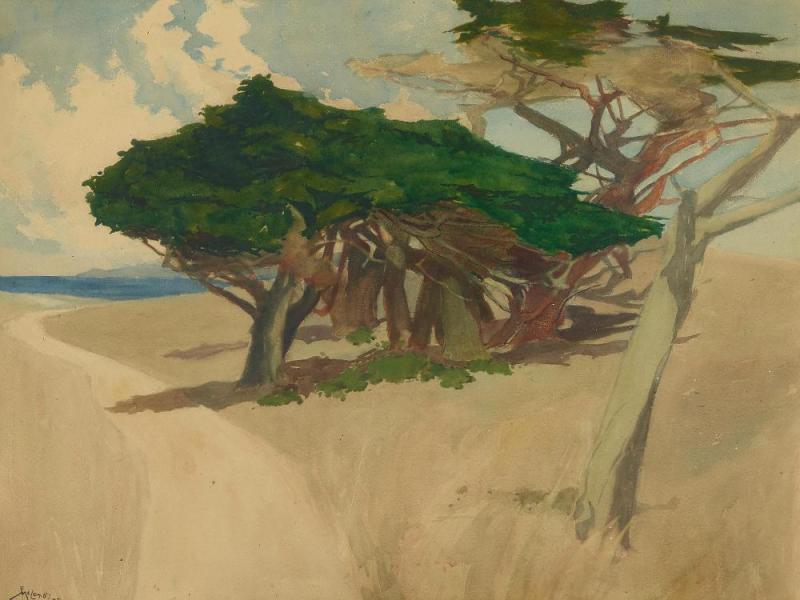 Monterey Cypress, 1899 Artwork by Francis John McComas