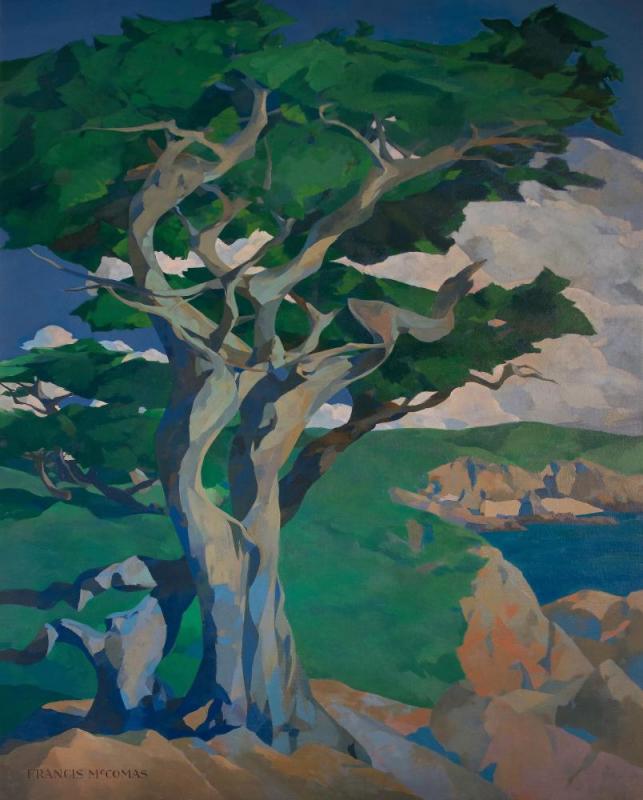 Monterey Cypress (ciprés De Monterey), N.d. Artwork by Francis John McComas