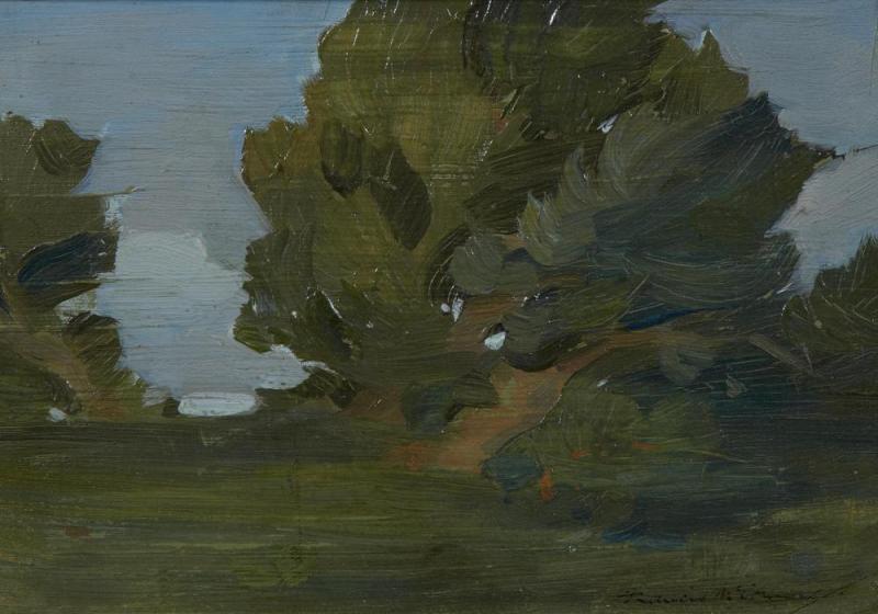 Monterey Cyprus Artwork by Francis John McComas