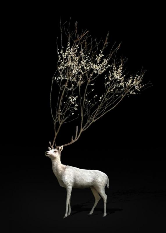 Flowering Branch Stag, 2018 Artwork by Todd Murphy