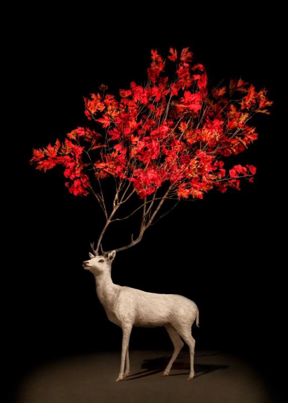 Scarlett Branch Stag, 2018 Artwork by Todd Murphy