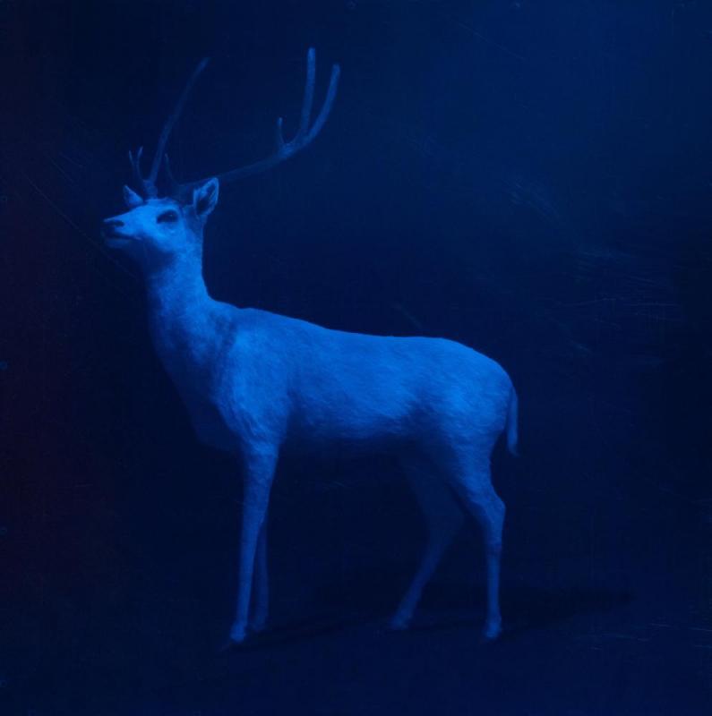 Untitled (blue), 2017 Artwork by Todd Murphy