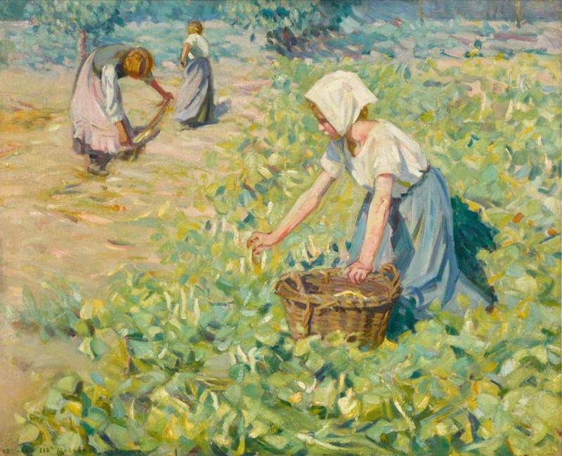 The Bean Harvest Artwork by Helen Galloway McNicoll