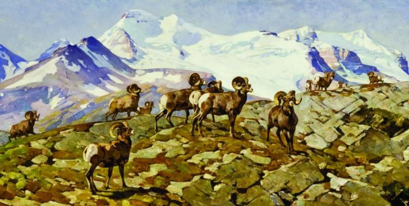 The Bighorn Country, 1943 Artwork by Carl Rungius